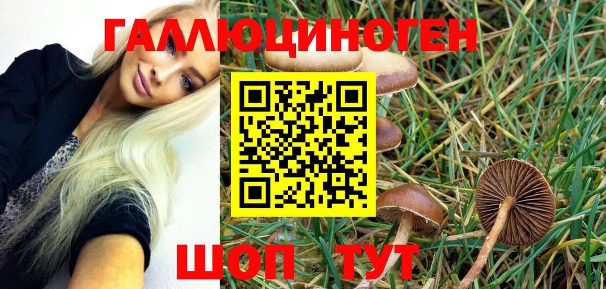 Галлюциногенные грибы MAGIC MUSHROOMS  Вход с VPN  Киров 